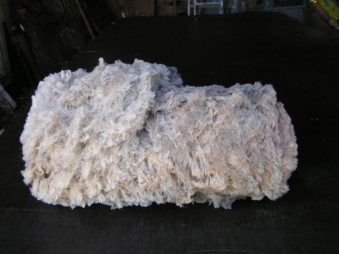 Shetland fleece, rolled and ready for the wool bag.